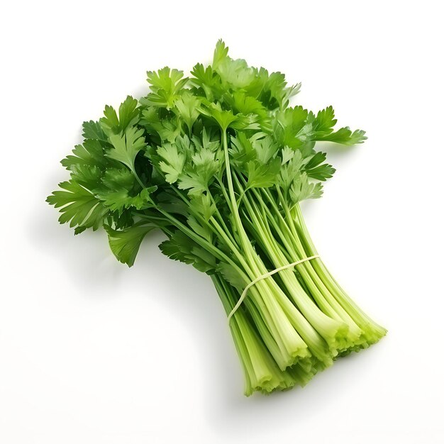 Céleri - 1 Tas (Bukavu)