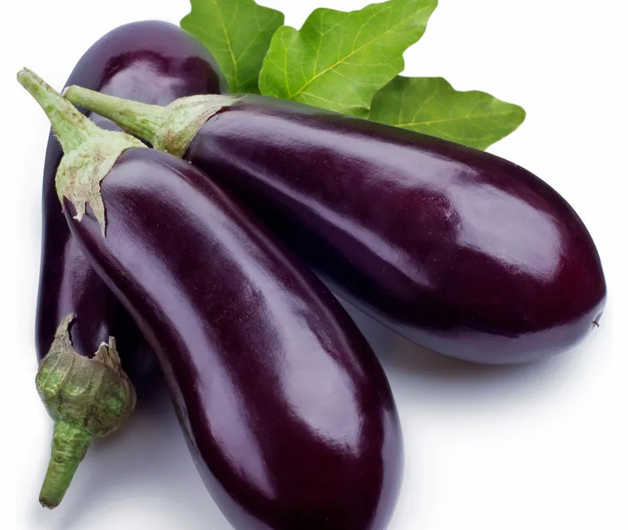 Aubergine Rouge - 3 Pièces (Goma)
