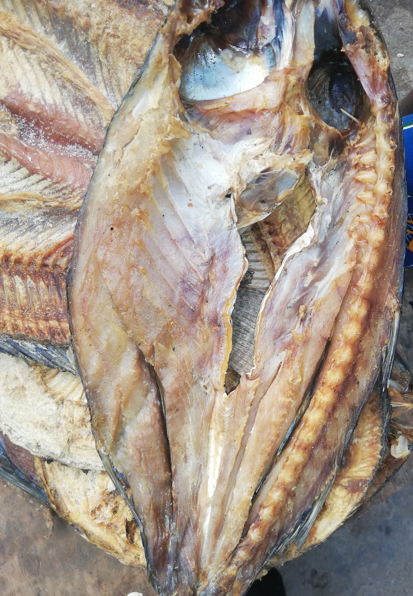 Miley Makayabu Poisson - Pièce (Bukavu)