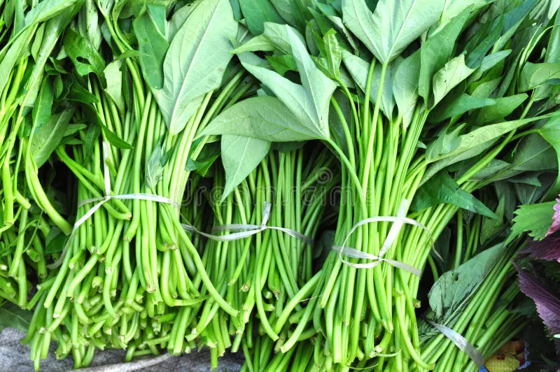 Matembele Légume - 1 Tas (Goma)