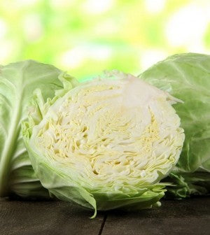 Chou Frais - Kg (Bukavu)