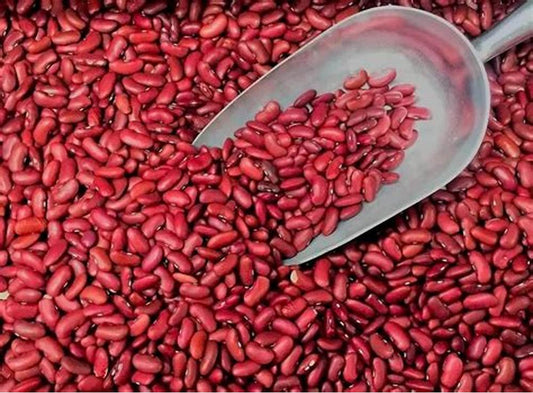 Haricot Rouge - Kg (Bukavu)