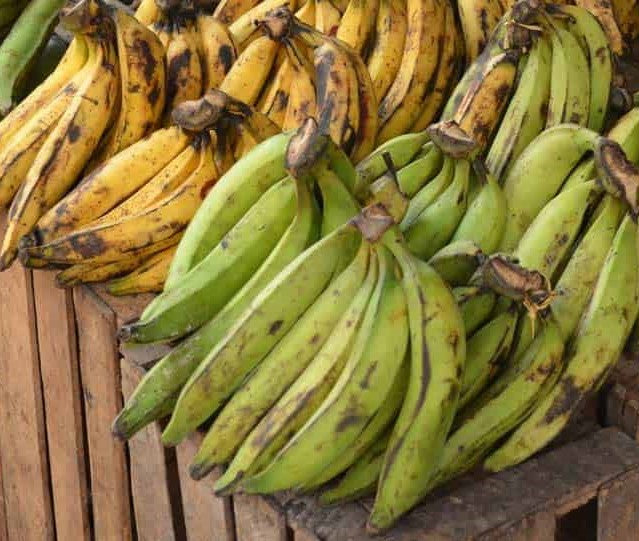 Bananes Plantains - 1 Tas (Bukavu)