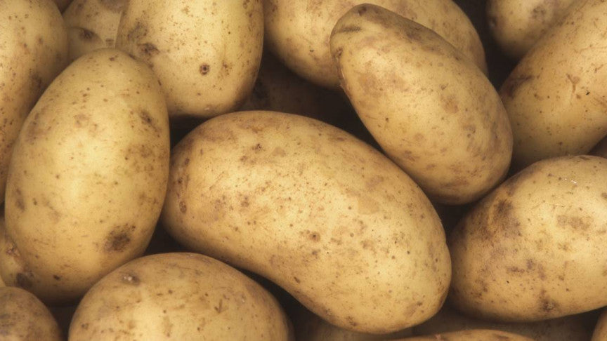 Pommes de Terre - Kg (Bukavu)