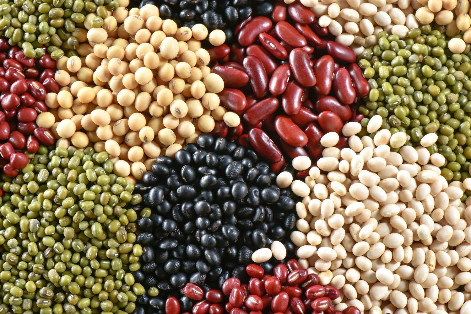 Haricots