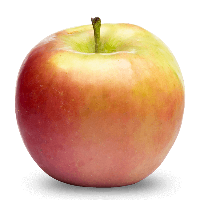 Pomme Fruit - 1 Pièce (Goma)