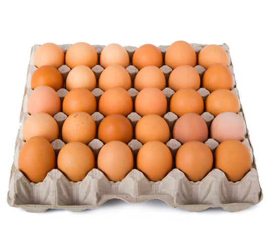 Oeufs - 1 Plaquette (Goma)