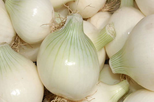 Oignon blanc - 1 Kg (Goma)