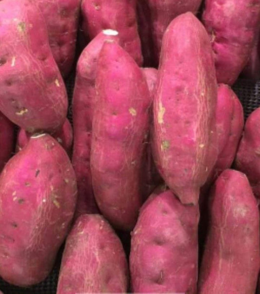 Patates Douces - 1 Tas (Goma)